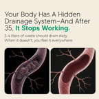 Lymphatic Drainage Capsules by Oranic Extract®