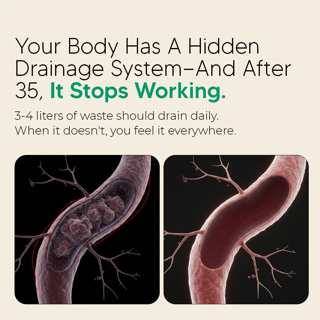 Lymphatic Drainage Capsules by Oranic Extract®