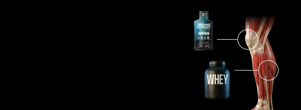 Oranic Extract Power Protein