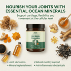Oranic Extract Sea Moss 16-In-1 Gummies - For Joint Relief & Mobility