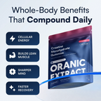 ORANIC EXTRACT® Creatine Gummy