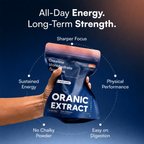 ORANIC EXTRACT® Creatine Gummy