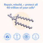 Oranic Extract® PC