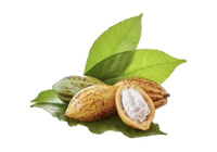 Theobromine